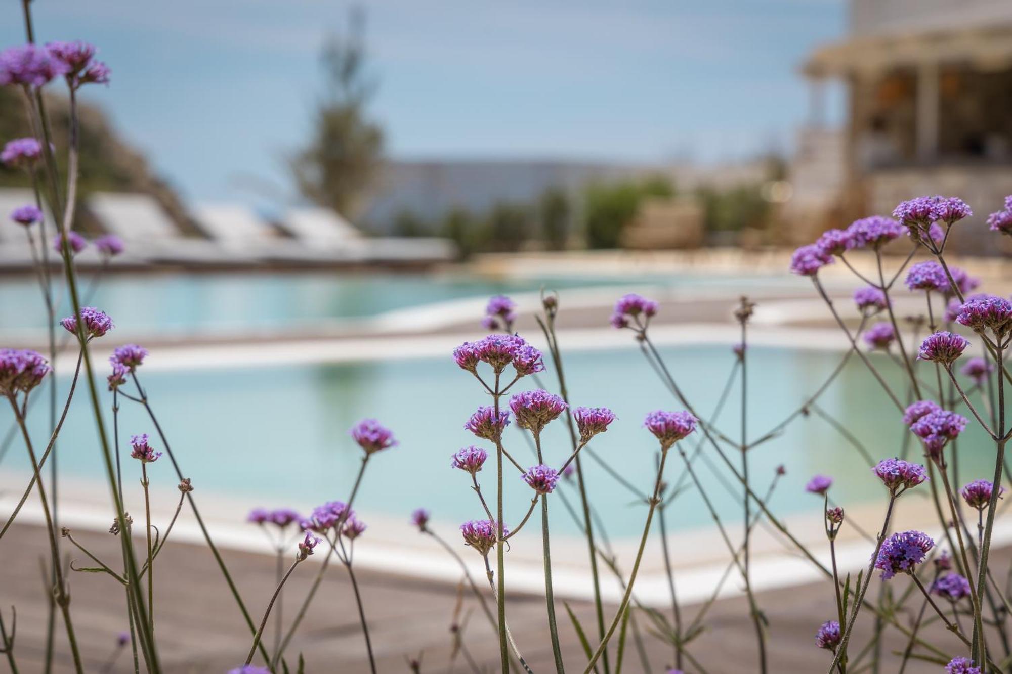 Golden Milos Beach Provatas Exterior foto
